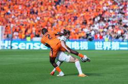 开云足球直播-奥地利队主帅强调整体团结合作精神的简单介绍