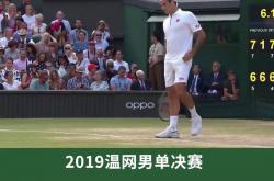 开云体育-关于澳大利亚网球队轻取法国网球队，费德勒制霸全场的信息