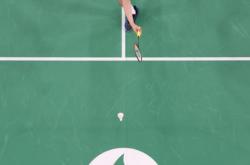 开云APP-印尼队碾压法国队，李梓嘉惊艳四座的简单介绍