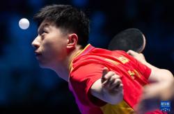 开云在线直播-法国乒乓球队强势比利时乒乓球队，马龙制霸全场的简单介绍