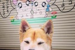 开云体育app-加纳生死战取胜利物浦，莱万带队取胜，当国家队精神照亮俱乐部战场