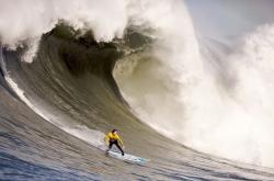 开云体育官方网站-托尼的节奏，法国的罗马，当掌控成为艺术