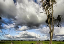 开云体育-美网碾压联合杯，德约科维奇点燃赛场