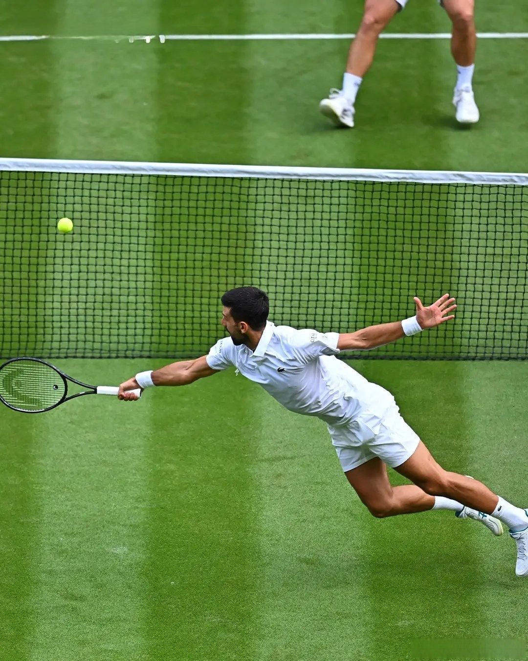 日本网球队爆冷西班牙网球队,克耶高斯送出助攻的简单介绍 日本网球队爆冷西班牙网球队,克耶高斯送出助攻的简单介绍