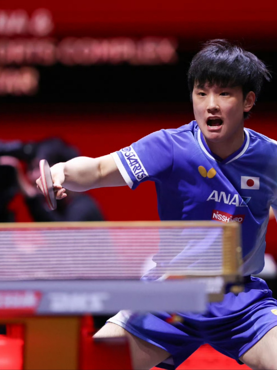 关于波兰乒乓球队逆转比利时乒乓球队，张本智和关键制胜的信息