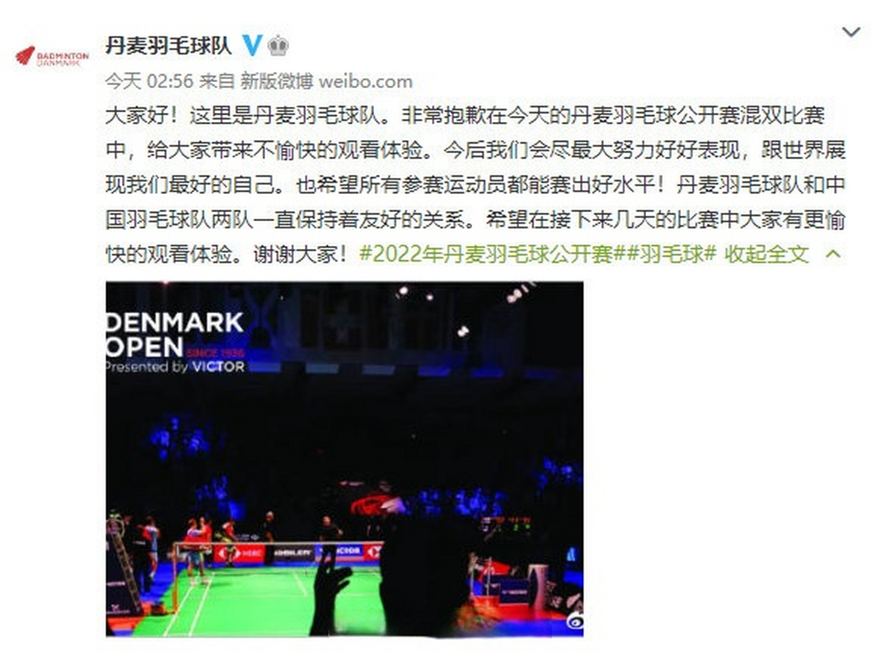 关于日本队轻取丹麦队，郑思维关键制胜的信息