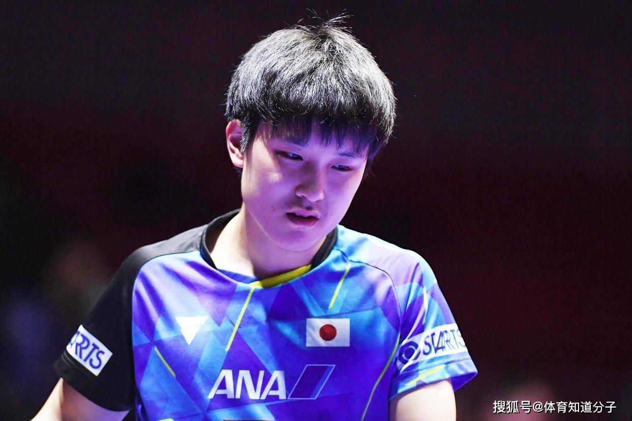 中国队横扫韩国队，张本智和惊艳四座的简单介绍