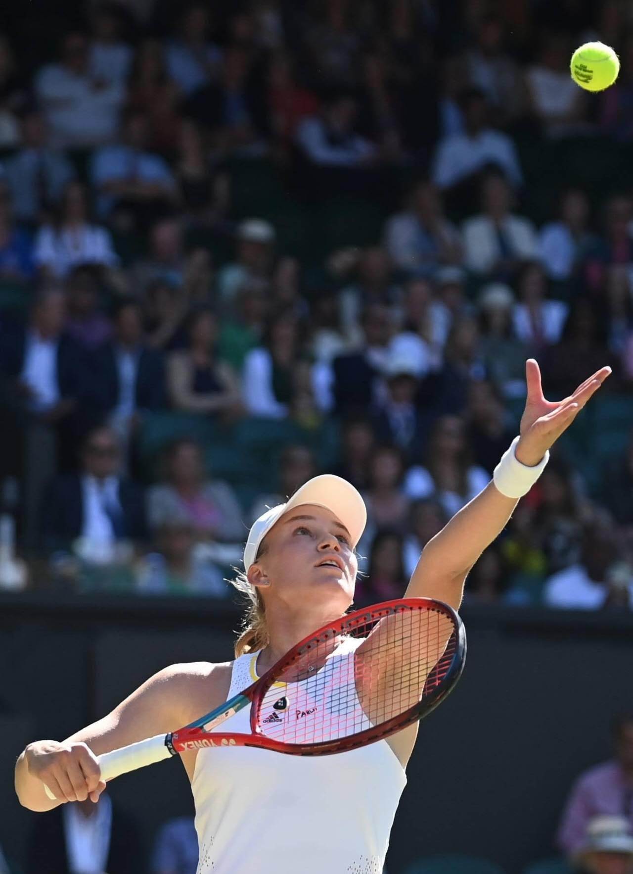 温网轻取蒙特卡洛大师赛，鲁德关键制胜的简单介绍