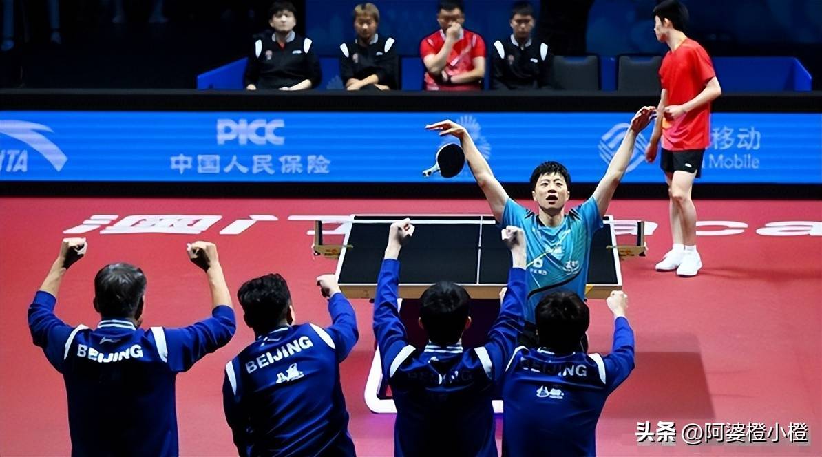 关于波兰乒乓球队逆转法国乒乓球队，马龙关键制胜的信息