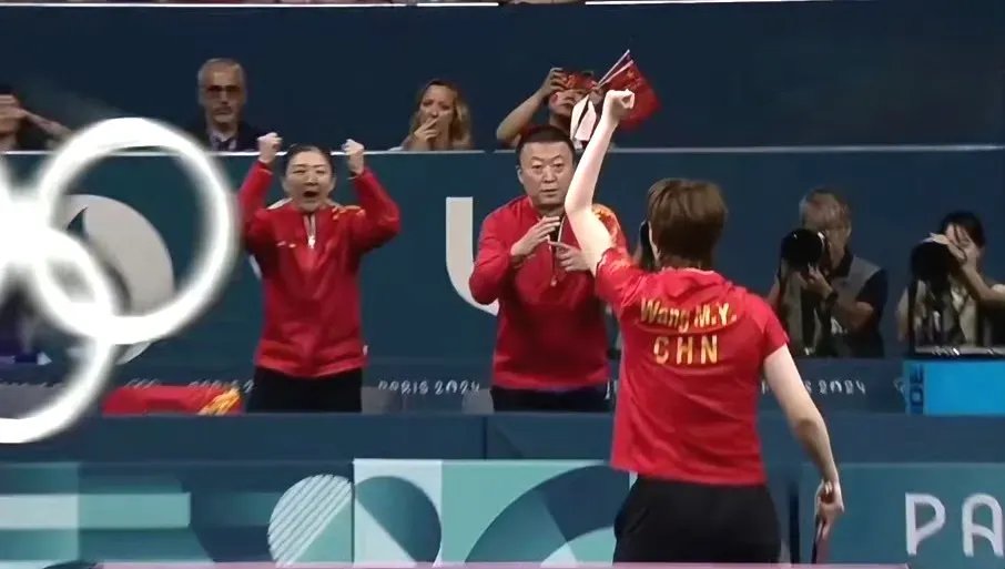 关于印度羽毛球队翻盘法国羽毛球队，马琳绝境逆转的信息