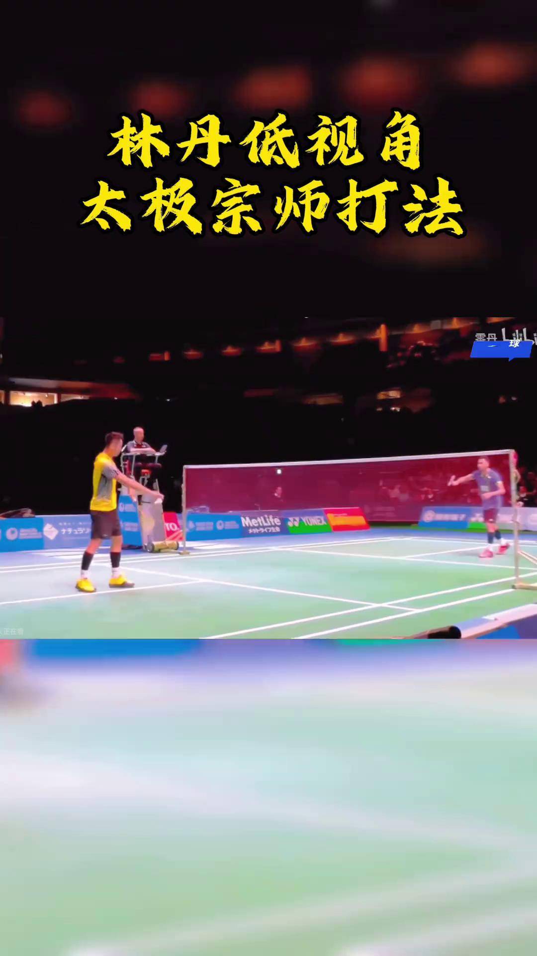 韩国羽毛球队翻盘日本羽毛球队，林丹惊艳世界的简单介绍