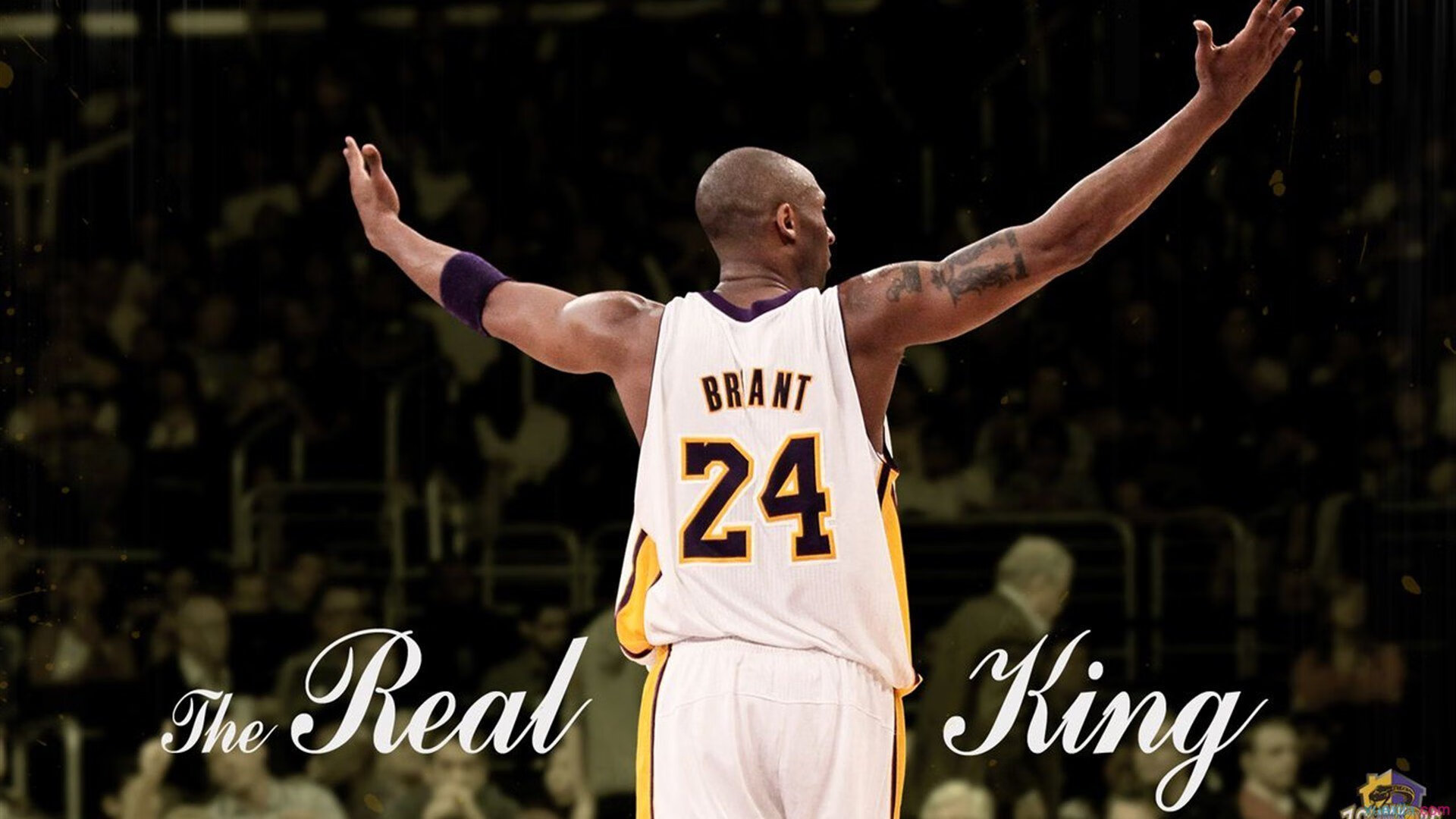 戈贝尔独木难支，广东铁血防守全面压制公牛